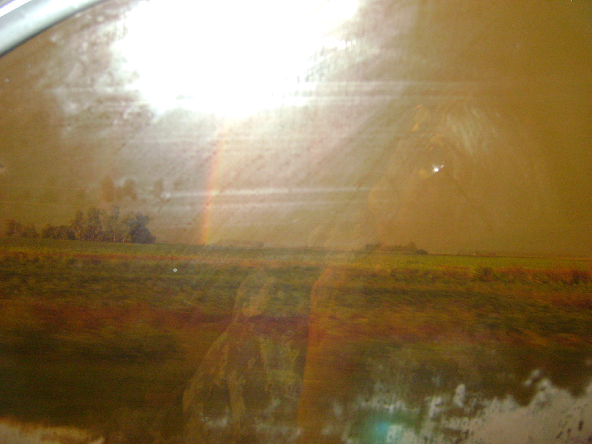 fotos/2012-02-12 - Iara/DSC04921.JPG